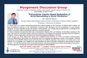 Myogenesis Discussion Group | Extracellular Vesicle–Based Modulation of Atrial Remodeling in Atrial Fibrillation
