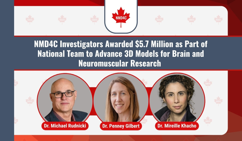 04-2026 - NMD4C Investigators Awarded $5.7 Million as Part of National Team to Advance 3D Models for Brain and Neuromuscular Research - OHRI