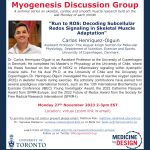 Event poster for Myogenesis Discussion Group November webinar.