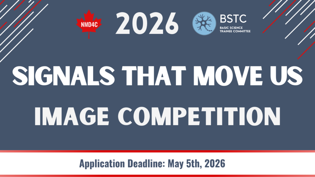 2026 Image Competition Signals That Move Us (3)