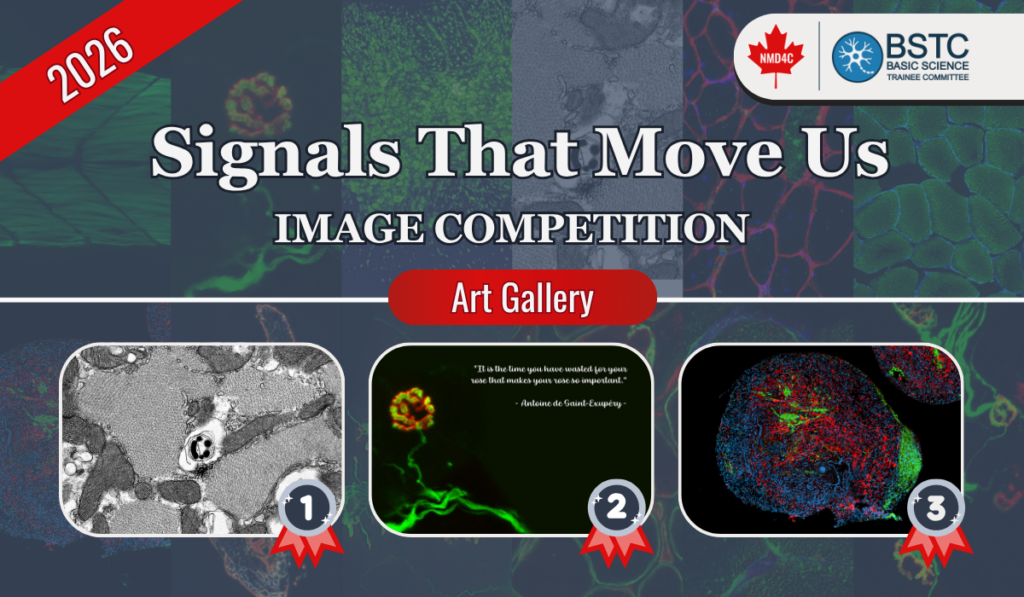 2026 Signals That Move Us Image Competition - Winners