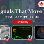 Signals that Move Us – Image Competition Art Gallery