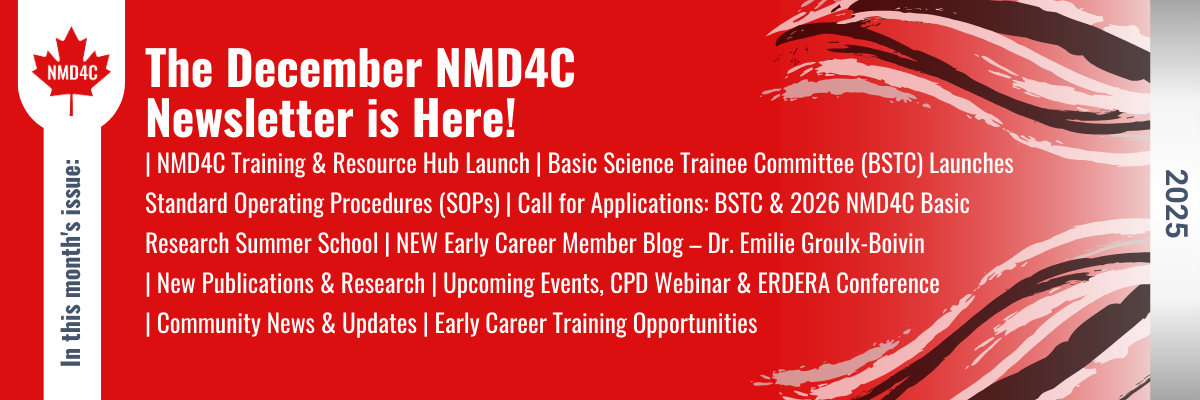 December 2025 Newsletter - website banner