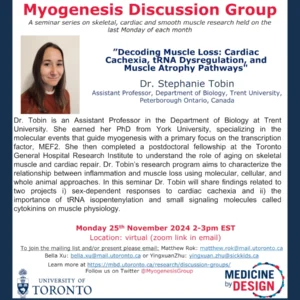 November Myogenesis Discussion Group talk, presented by Dr Stephanie Tobin