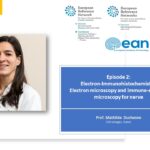 EuroNMD Neuropathology Webinar Series Ep 2 - Advanced Microscopy Techniques for Nerve Analysis