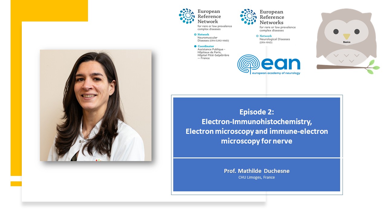 EuroNMD Neuropathology Webinar Series Ep 2 - Advanced Microscopy Techniques for Nerve Analysis