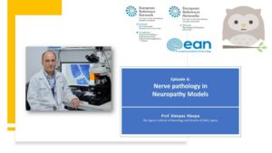 EURO-NMD Neuropathology Webinar Series | Ep 6: Nerve Pathology in Neuropathy Models