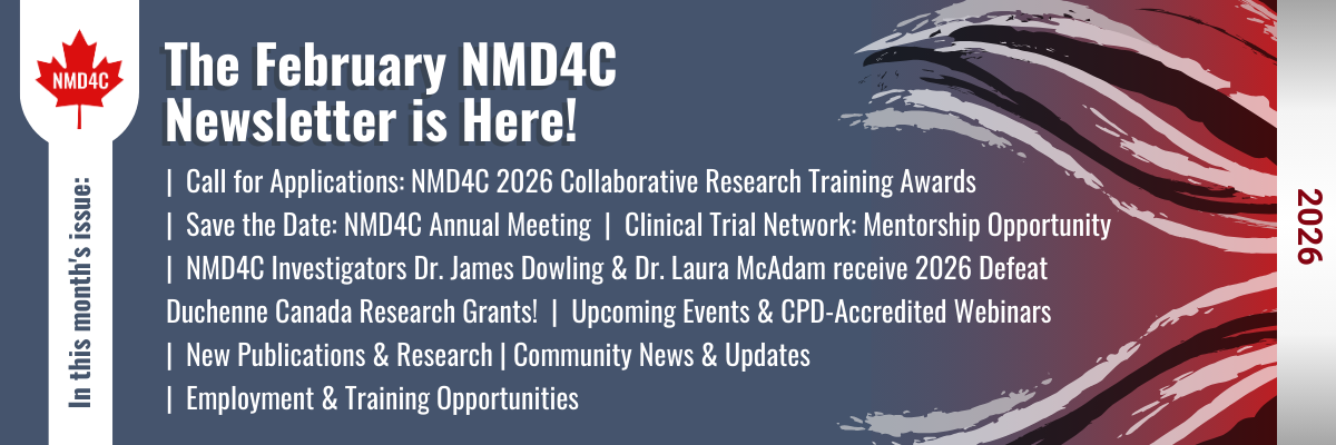 February 2026 Newsletter - website banner