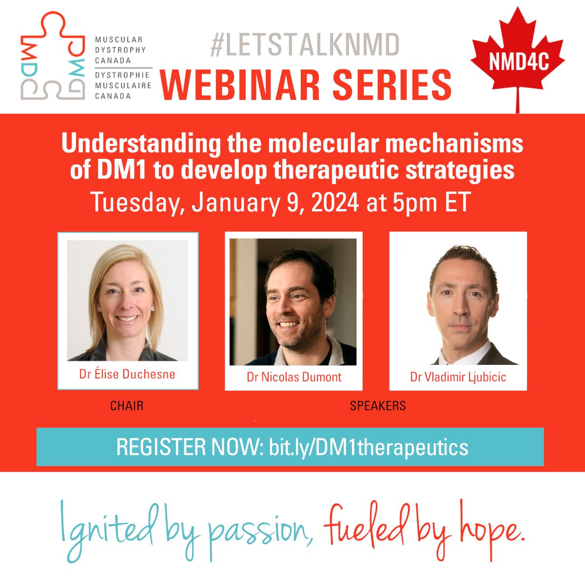 NMD4C January webinar - Understanding the molecular mechanisms of DM1 to develop therapeutic strategies