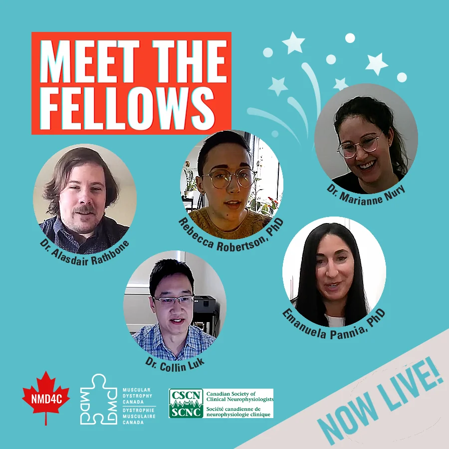 Meet the Fellows - now live