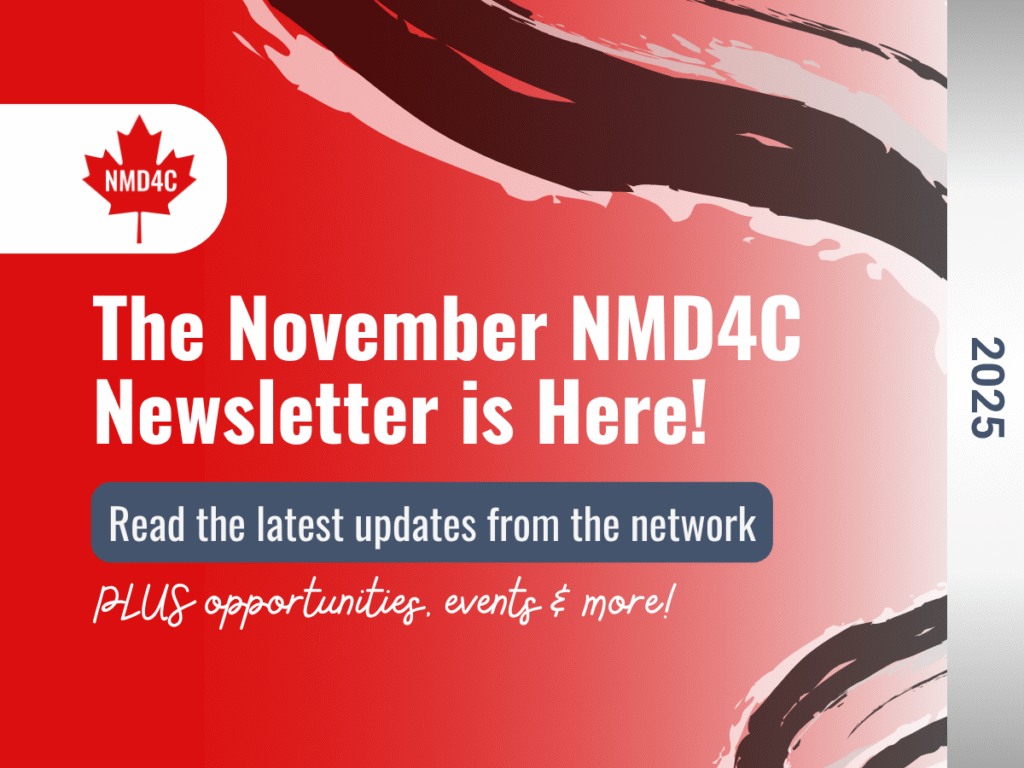 November 2025 Newsletter