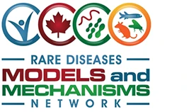 Rare Diseases Models and Mechanisms Network (RDMM)