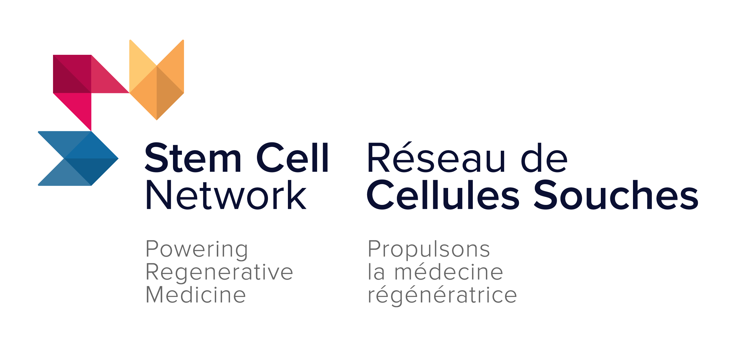 Stem cell network 2026 logo