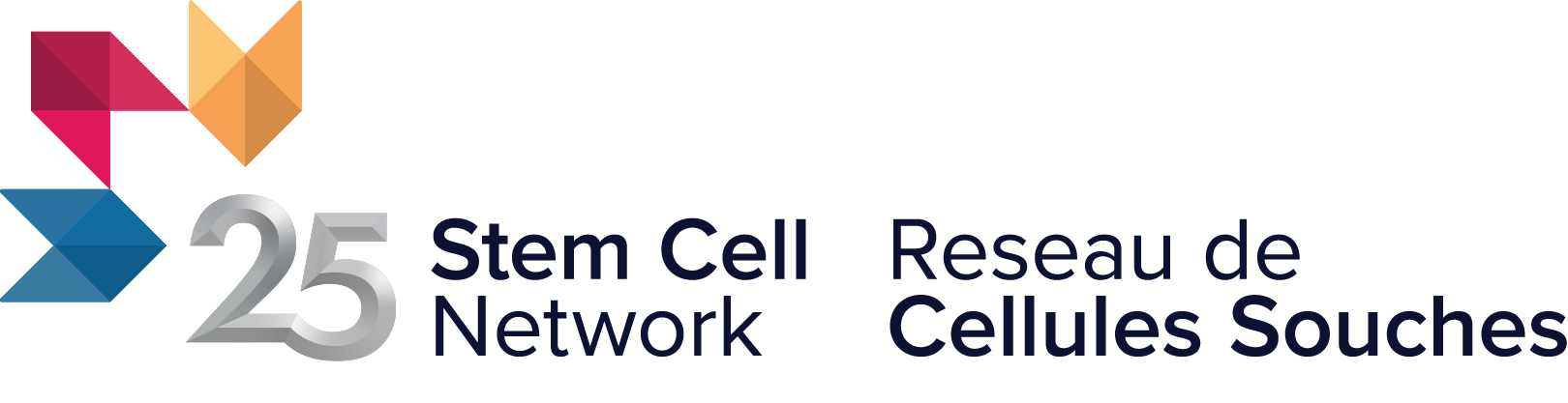Stem Cell Network