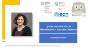 NMJ episode 2: Update on antibodies in Neuromuscular Junction Disorders