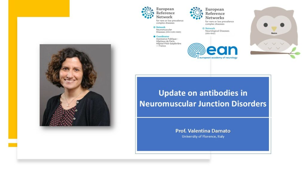 NMJ episode 2: Update on antibodies in Neuromuscular Junction Disorders
