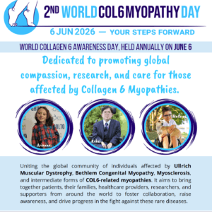 World Collagen 6 Day World Collagen 6 Day