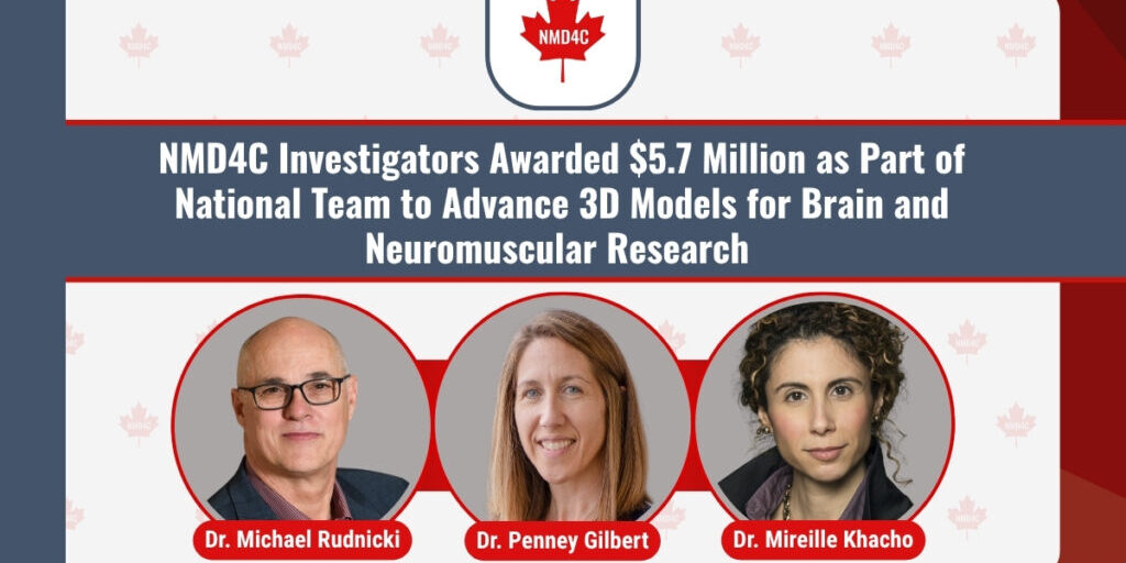04-2026 - NMD4C Investigators Awarded $5.7 Million as Part of National Team to Advance 3D Models for Brain and Neuromuscular Research - OHRI