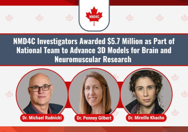 04-2026 - NMD4C Investigators Awarded $5.7 Million as Part of National Team to Advance 3D Models for Brain and Neuromuscular Research - OHRI