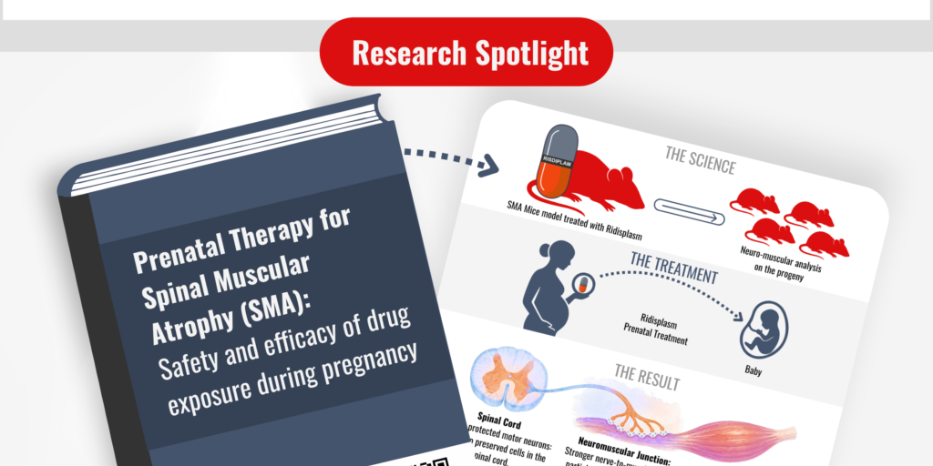 Maternal-Fetal Administration of Risdiplam Partially Rescues the SMNΔ7 Mouse Model of Spinal Muscular Atrophy