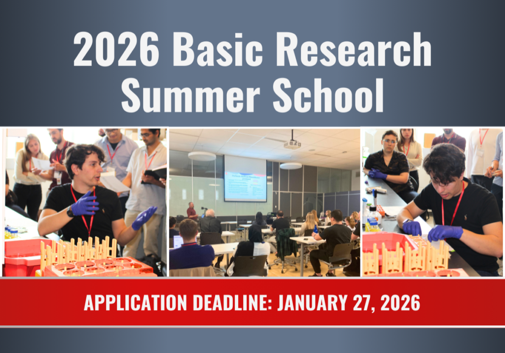 2026 Basic Research Summer School