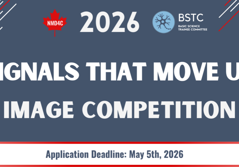 2026 Image Competition Signals That Move Us (3)