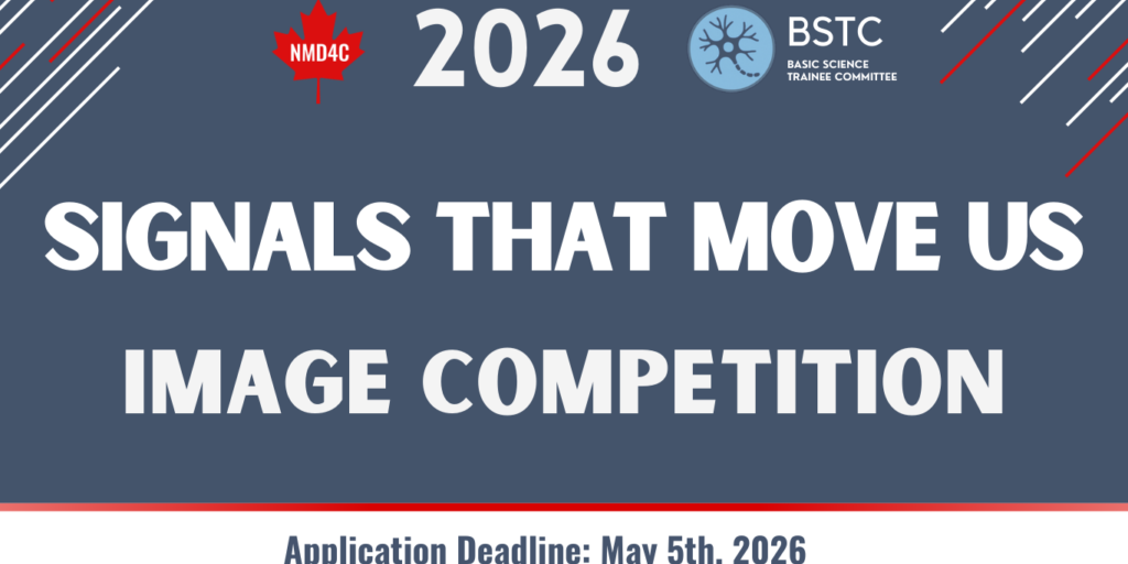 2026 Image Competition Signals That Move Us (3)