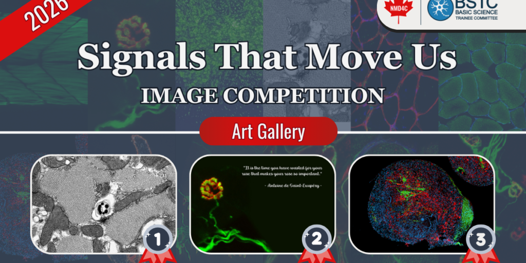 2026 Signals That Move Us Image Competition - Winners
