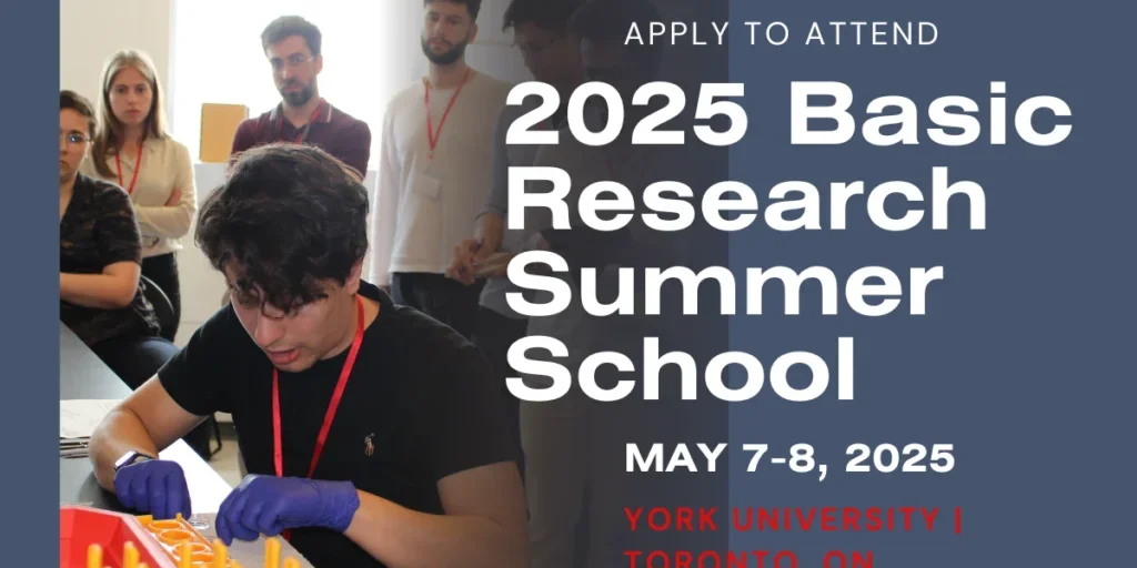 2025 Basic Research Summer School application image