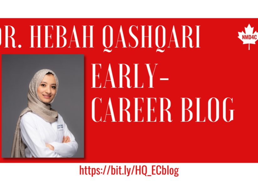HebahQashaqri EC Blog
