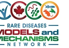 Rare Diseases Models and Mechanisms Network (RDMM)